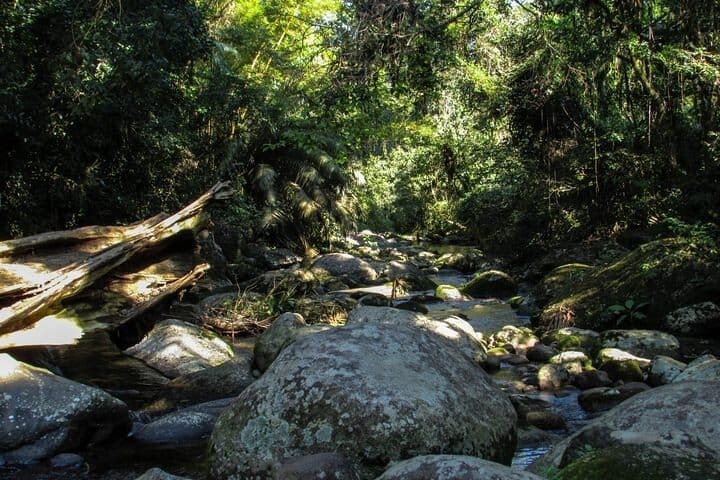 4-Day Private Guided Tour From São Paulo To Rio de Janeiro – Coastal Trip 10