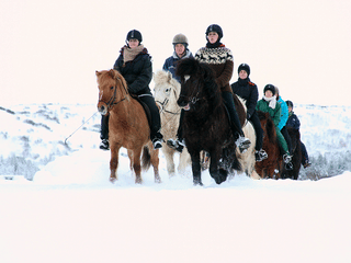 Horse Riding & Caving From Reykjavík, photo 6