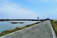 Lio Piccolo: Flamingos & Birdwatching Bike Tour in the Venetian Lagoon 5