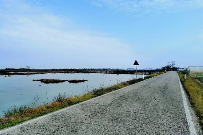 Venice Lagoon Bike & Birdwatching Tour: Flamingos in Lio Piccolo 5