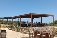 Exploring Local Secrets: Wine, Raki, Olive Oil & Honey 2