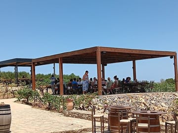 Culinary Tour of Wine, Raki, Olive Oil, and Honey in Heraklion