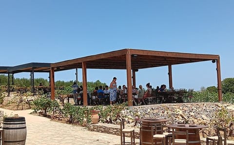 Culinary Tour of Wine, Raki, Olive Oil, and Honey in Heraklion
