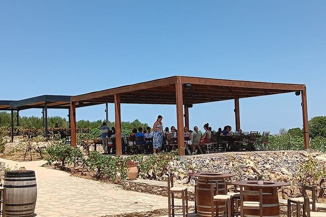 Exploring Local Secrets: Wine, Raki, Olive Oil & Honey 2