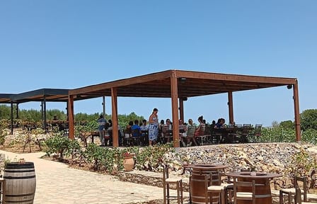 Culinary Tour of Wine, Raki, Olive Oil, and Honey in Heraklion