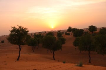 Hot Air Balloon Adventure Ride in Dubai with Hotel Pick up & drop