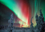 Private Aurora Tour (1-4) by Aurora Experts - Rovaniemi 3