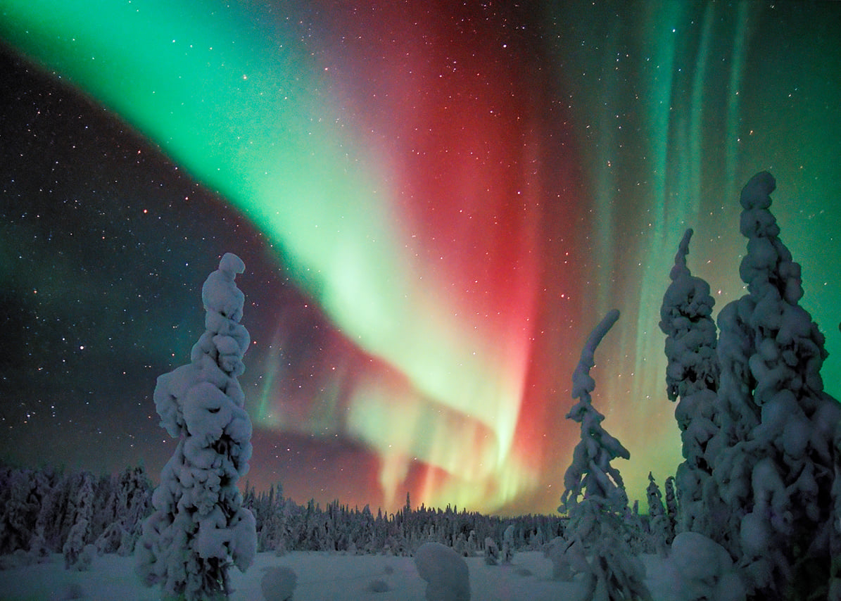 Private Aurora Tour (1-4) by Aurora Experts - Rovaniemi 3