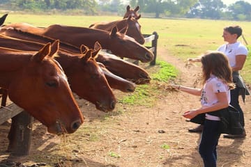 Polo Lesson Experience at Villa Maria with Argentinean Barbecue