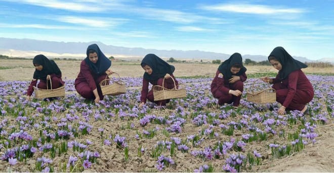 2 Days : Dinosaur’s Foot Prints in the Aït Bouguemez valley | Private & Luxury 3