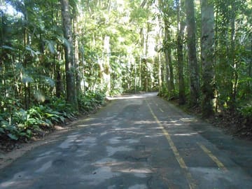 Tijuca Forest National Park