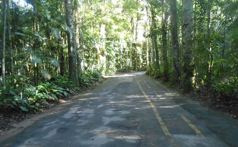 Tijuca Forest National Park