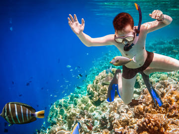 Full-Day Snorkeling Tour to Paradise Island in Hurghada