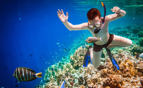 Full-Day Snorkeling Tour to Paradise Island in Hurghada