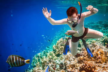 Full-Day Snorkeling Tour to Paradise Island in Hurghada