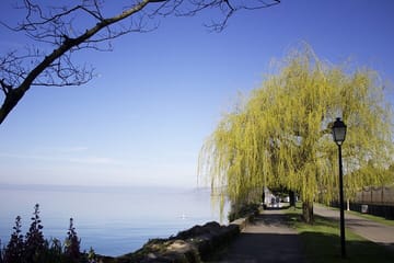 Montreux Musical Heritage Tour: Freddie Mercury to Jazz Legends