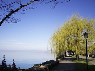 From Freddie Mercury to Jazz Legends: The Montreux Experience