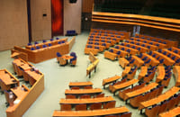 The Hague in 1 Day - Walking Tour - Audioguide in 7 languages 6