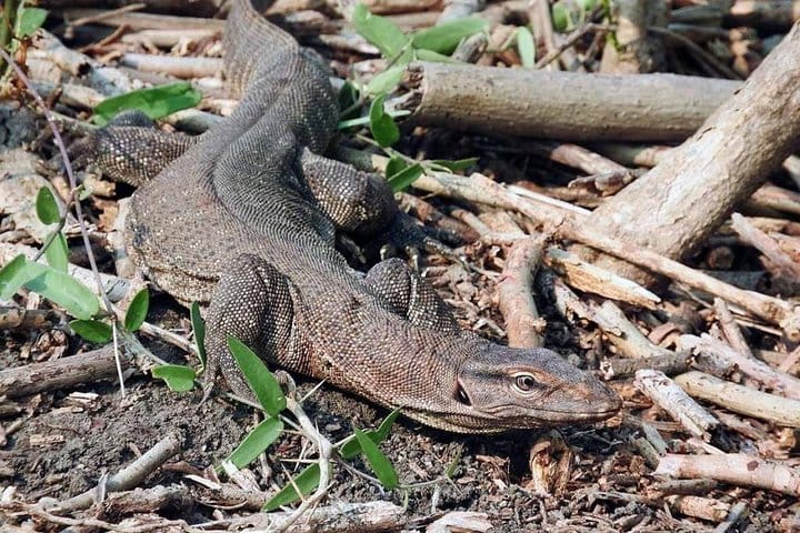 Jaipur Heritage walk Tour