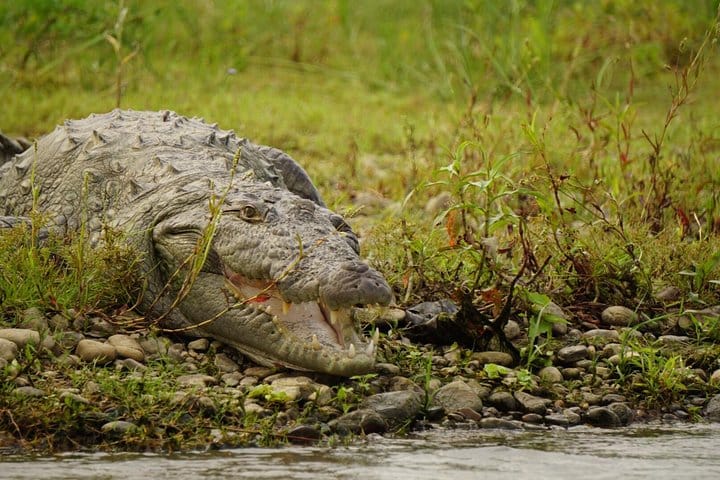 Jaipur Heritage walk Tour