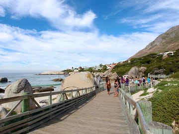Table Mountain, Boulder's Beach and Cape Point Tour