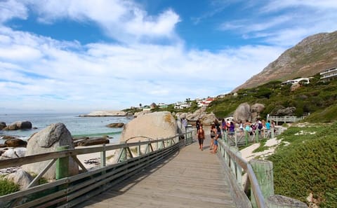 Table Mountain, Boulder's Beach and Cape Point Tour