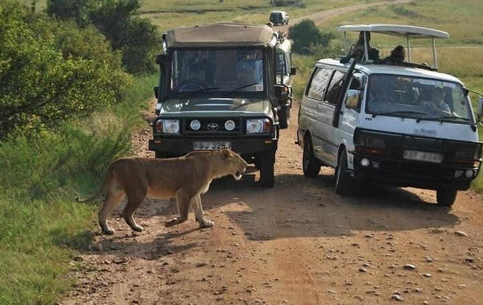 Half Day Tour To Nairobi National Park