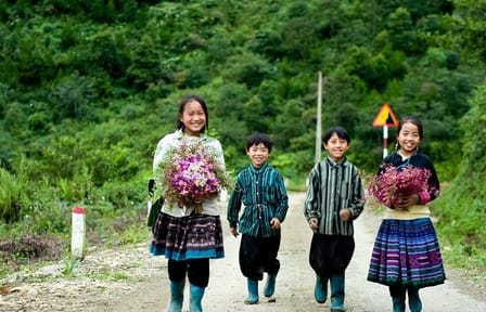 Two-Day Easy Trekking Tour in Sapa, Vietnam