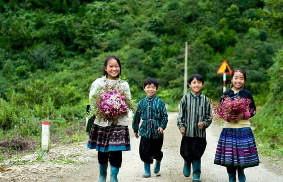 Sapa Easy trekking villages 2 days/ 1night trip: meals, tour guide, 3 star hotel