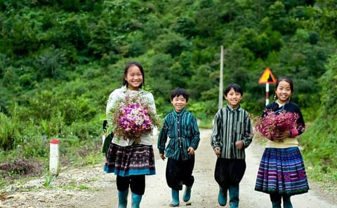Two-Day Easy Trekking Tour in Sapa, Vietnam