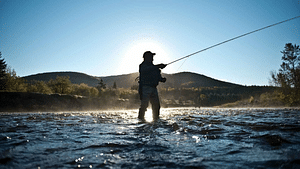 Summer Fishing Tour in Arctic Nature & Barbeque - Small Group