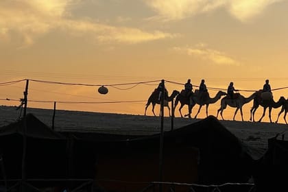 Agafay Desert Experience Buggy Dinner Show and Camel Ride