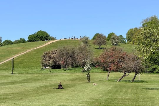 London - Camden: Regent’s Park and Primrose Hill Walking Tour