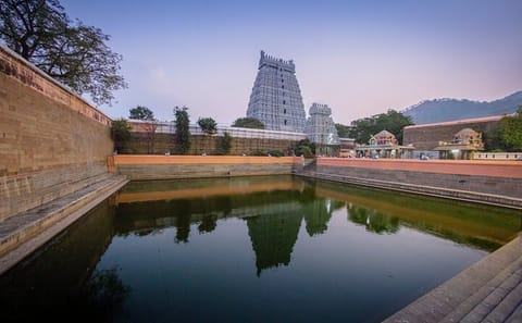 Sacred Temple Tour from Chennai to Tiruvannamalai