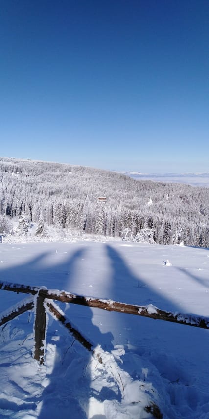 Private Vitosha Mountains Hiking with Black peak & Dragalevtsi Monastery 10