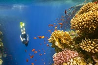 Tour a Dahab & Snorkeling al Blue Hole 1