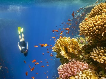Tour a Dahab & Snorkeling al Blue Hole