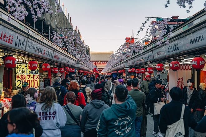 Tokyo Early Morning Tour Asakusa Meiji Shrine (Private Opt) 10