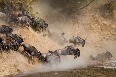9-Days Kenya Honeymoon Safari