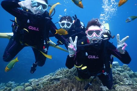 Private Trial Boat Diving Experience for Beginners at Minna Island, Okinawa