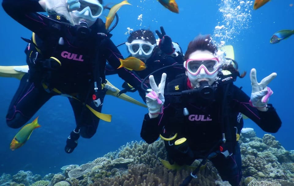 SCUBA Diving Experience with Two Dives in Nago, Okinawa
