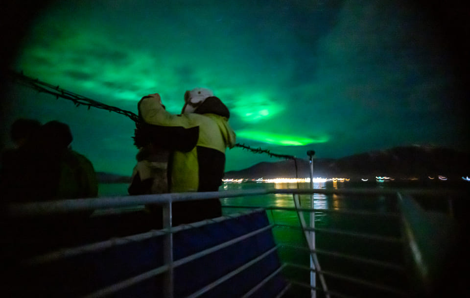 Whale Watching and Northern Lights Cruise in Reykjavik