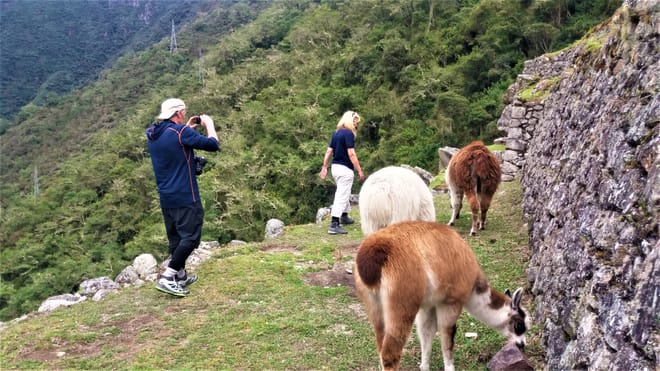 Inca Trail Luxury Tour 4 days photo 4