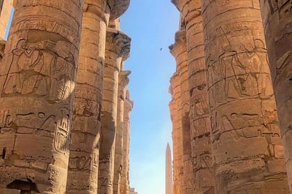 Luxor to Aswan Private Tour: Karnak, Luxor & Kom Ombo