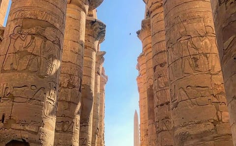 Private Luxor to Aswan Tour: Karnak and Kom Ombo Temples