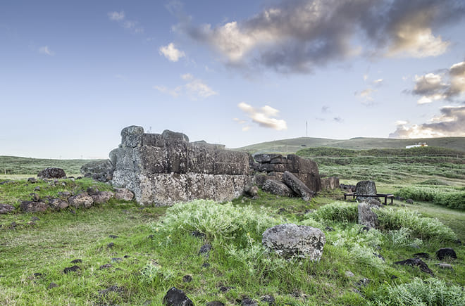 2 Half Days & 2 Full Days Private Tours | OPTION B 2
