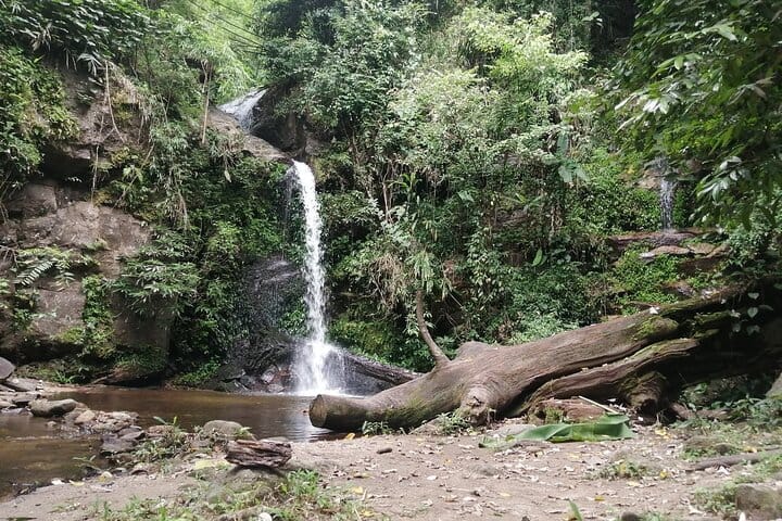 Chiang mai Suthep National Park Leisure Hiking & Mountain Biking