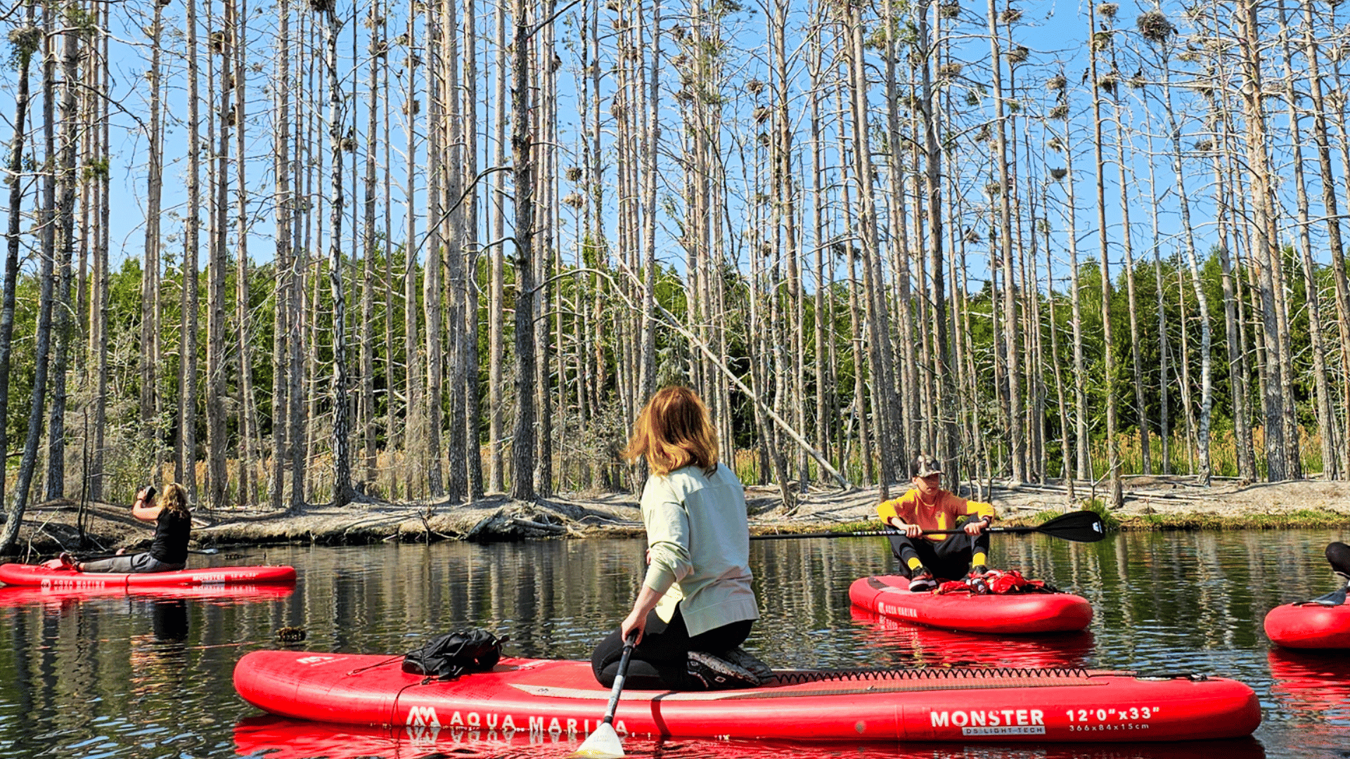 Latvian Jungle Tour on a SUP Board