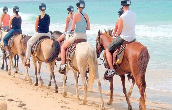 Punta Cana Horseback Riding Adventure on Beaches & Fields +
