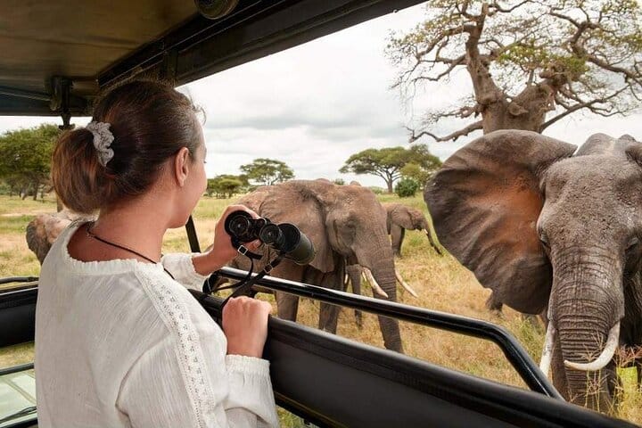 Mikumi National Park 2 Day Safari from Zanzibar or Dar es Salaam